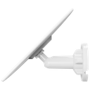 Extra 7