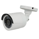 NV-19B