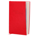 RG-AGENDA
