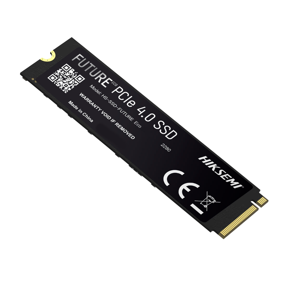 HS-SSD-FUTURE-2048G