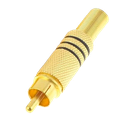 CON117