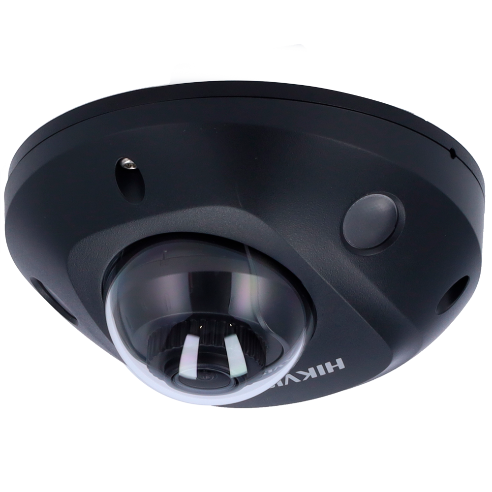 DS-2CD2543G2-IS(2.8mm)(BLACK)