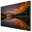 [DS-D2046TL-1B] DS-D2046TL-1B