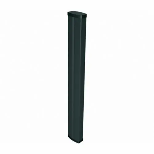 CBID 150