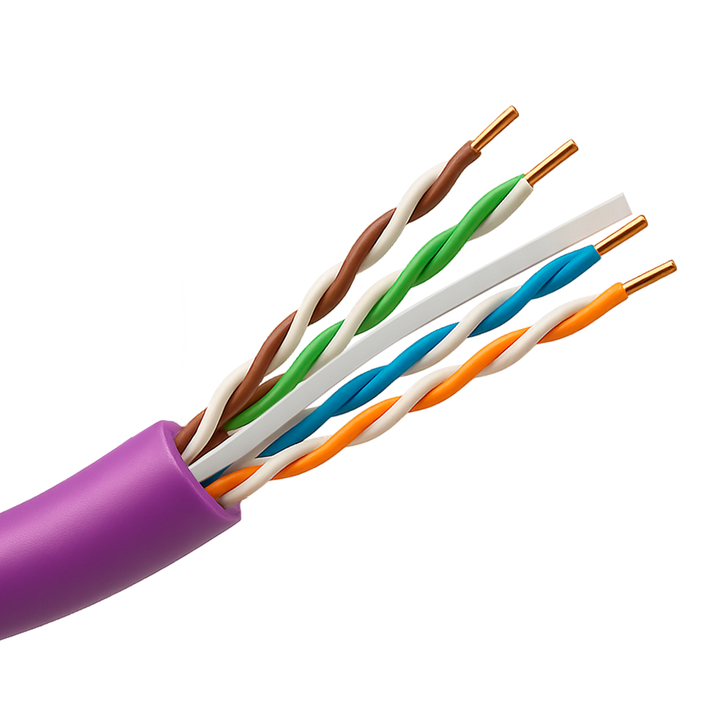 UTP6-305-BC-H-Dca-PURPLE