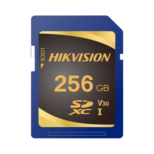 [HS-SD-P10STD-256G] HS-SD-P10STD-256G