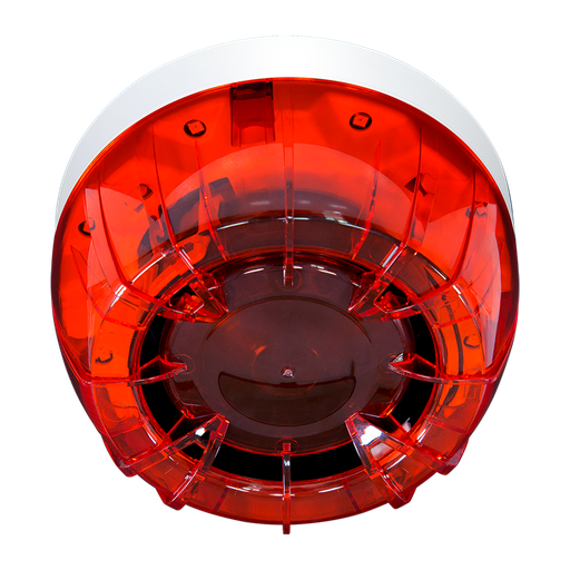 [TF-TF5TFIS01] TF-TF5TFIS01