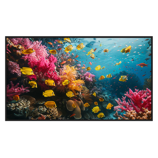 [DS-D6050UH-DP] DS-D6050UH-DP