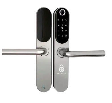 [IBI-BERNA B1 PLATA] IBI-BERNA B1 PLATA